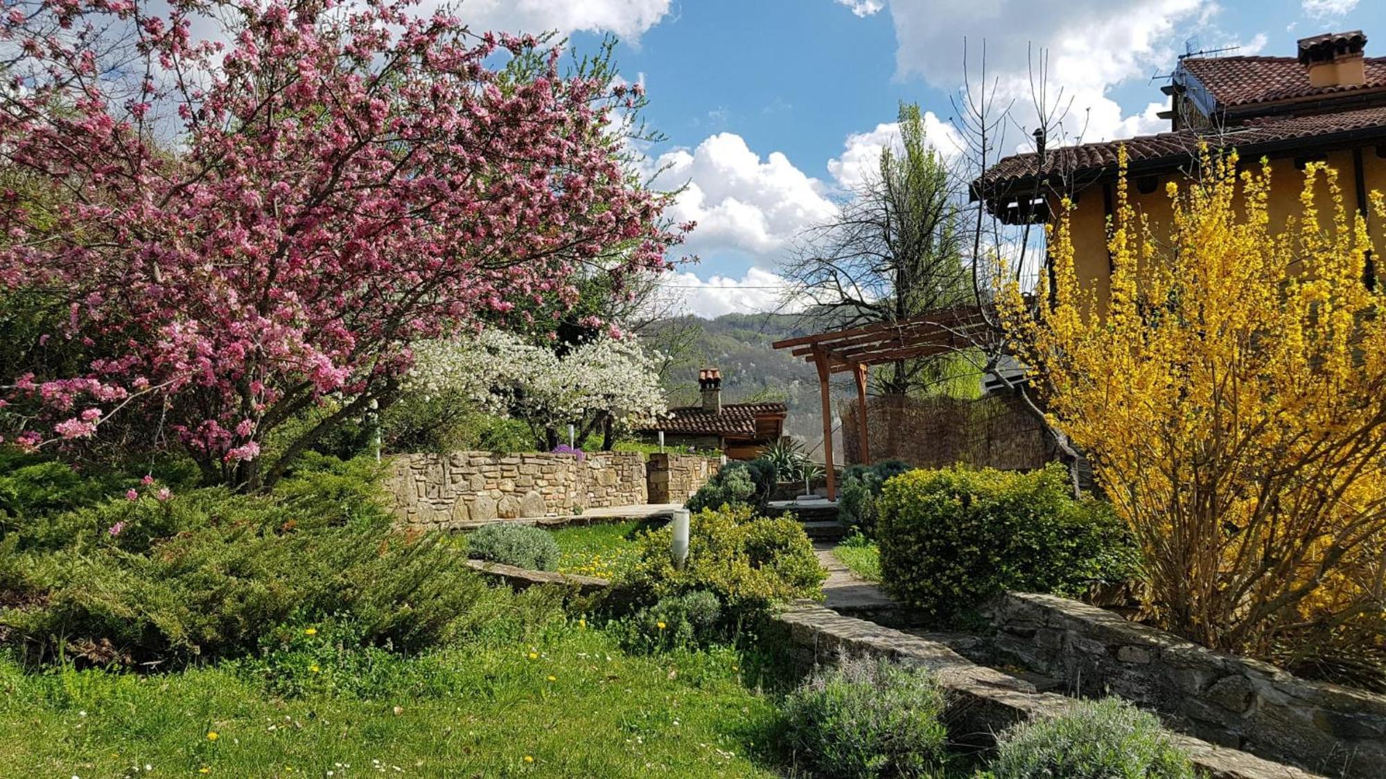 Agriturismo Fattoria Ca Di Sole San Benedetto Val di Sambro Dış mekan fotoğraf